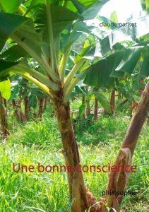 Une bonne conscience - Pariset Claude