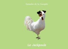 Le jackpoule - La Canopée Natacha de
