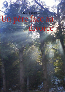 Un père face au divorce - Prignot Fabien