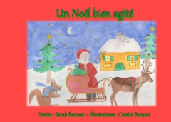 Un Noël bien agité - Becuzzi Sarah