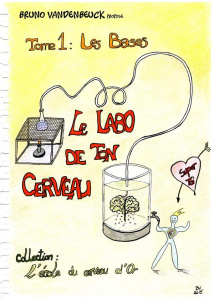 Le labo de ton cerveau. Les Bases - Vandenbeuck Bruno