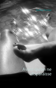 Avant qu'on ne disparaisse - Terrisse Audrey