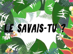Le savais-tu? - Braud Célia