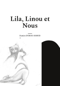 Du Zinzolin pour Pierrot Tome 2 : Lila, Linou et Nous - Dubois-Siobud Damien