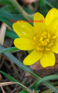 Pitje et la renoncule - Catteau Charles