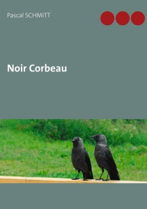 Noir corbeau - Schmitt Pascal