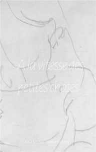 A la vitesse des petites choses - Croquison Faustine