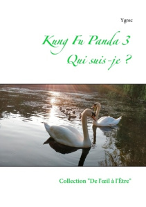 Kung Fu Panda 3. Qui suis-je ? - YGREC