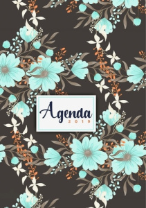 Agenda 2019 pour ton quotidien - Lulla Lilly