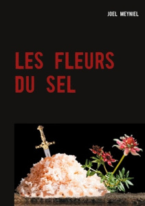 Les fleurs du sel - Meyniel Joël