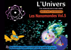 L'univers - Dans le micro- et macrocosme - A la recherche de la vraie réalité Tome 5 : Les Nanomonde - Stein Barbara