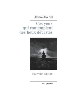 Ces yeux qui contemplent des lieux dévastés - Prat Stéphane Paul