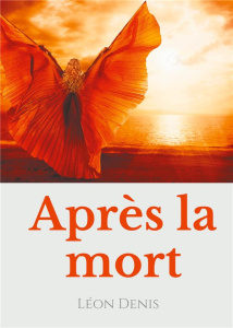 Après la mort. Petit précis de spiritisme sur la réincarnation et les apparitions d'esprits à l'usag - Denis Léon