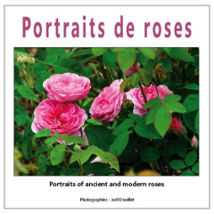 Portraits de roses - Douillet Joël