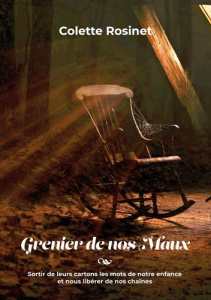 Grenier de nos maux. Sortir de leurs cartons les mots de notre enfance et nous libérer de nos chaîne - Rosinet Colette