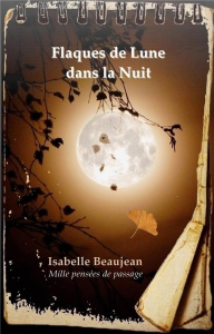 Flaques de Lune dans la Nuit. Mille pensées de passage - Beaujean Isabelle