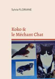 Koko et le méchant chat - Floriane Sylvia