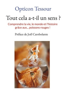 Tout cela a-t-il un sens ?. Comprendre la vie, le monde et l'histoire grâce aux... poissons rouges ! - Tessour Opticon