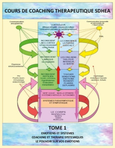 Analyse des systèmes et gestion des émotions. Coaching thérapeutique SDHEA - Penin Jean-Louis