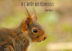 A l'affût des écureuils - Meles Jane