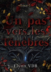 Un pas vers les Ténèbres. Tome 1 - VDB Elynn