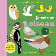 Je vois un oiseau. Avec des volets à soulever - Vincent Kay