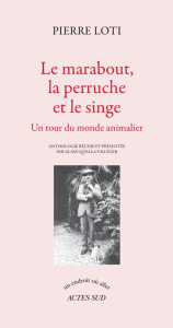 Le marabout, la perruche et le singe. Un tour du monde animalier - Loti Pierre ; Quella-Villéger Alain