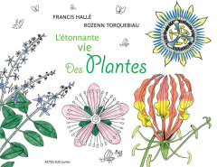 L'étonnante vie des plantes - Hallé Francis ; Torquebiau Rozenn