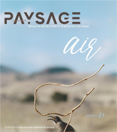 Les carnets du paysage N° 41, automne 2022 : Air - Besse Jean-Marc ; Tiberghien Gilles A.