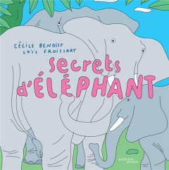 Secrets d'éléphant - Benoist Cécile ; Froissart Loïc