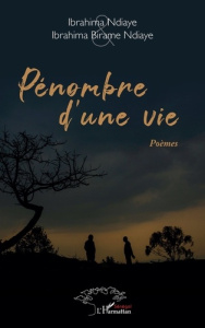 Pénombre d’une vie - Ndiaye Ibrahima