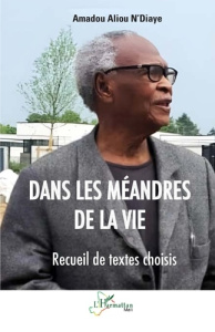 Dans les méandres de la vie. Recueil de textes choisis - N'Diaye Amadou Aliou