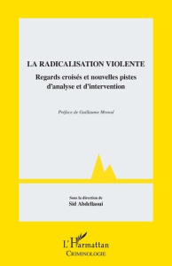 La radicalisation violente. Regards croisés et nouvelles pistes d'analyse et d'intervention - Abdellaoui Sid ; Monod Guillaume