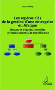 Les repères clés de la gestion d'une entreprise en Afrique. Structures organisationnelles et établis - Pony Lucas