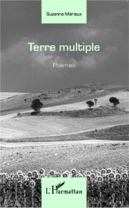 Terre multiple - Mériaux Suzanne