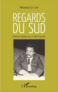Regards du sud. Bribes de mémoire du XXe siècle finissant - Aly Chérif Mohamed