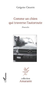 Comme un chien qui traverse l'autoroute - Chaste Grégoire