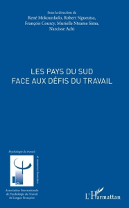 Les pays du Sud face aux défis du travail - Mokounkolo René ; Ngueutsa Robert ; Courcy Françoi