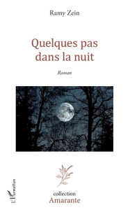 Quelques pas dans la nuit - Zein Ramy