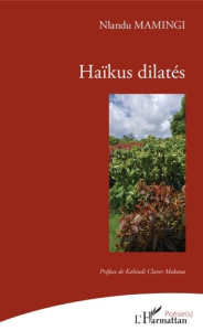 Haïkus dilatés - Mamingi Nlandu