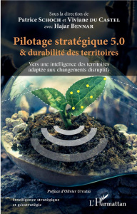 Pilotage stratégique 5.0 et durabilité des territoires. Vers une intelligence des territoires adapté - Schoch Patrice ; Du Castel Viviane ; Bennar Hajar