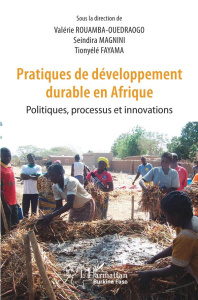 Pratiques de développement durable en Afrique. Politiques, processus et innovations - Rouamba-Ouédraogo Valérie ; Magnini Seindira ; Fay
