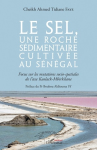 Le sel, une roche sédimentaire cultivée au Sénégal. Focus sur les mutations socio-spatiales de l'axe - Faye Cheikh Ahmed Tidiane ; Sy Boubou Aldiouma