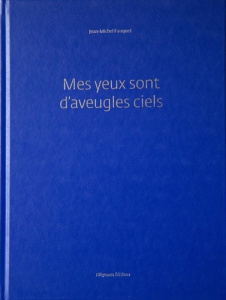 Mes yeux sont d'aveugles ciels - Fauquet Jean-Michel