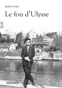 Le fou d'Ulysse - Levinet Michel