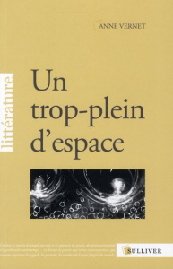 Un trop-plein d'espace - Vernet Anne
