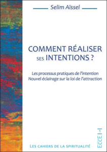 Comment réaliser ses intentions ? Les processus pratiques de l'intention. Nouvel éclairage sur la lo - Aïssel Selim