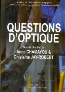 Questions d'optique - Chamayou Anne ; Jay-Robert Ghislaine
