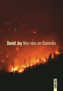 Nos vies en flammes - Joy David ; Pointeau Fabrice