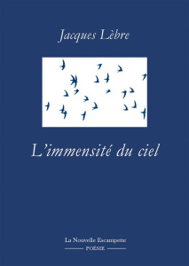L'immensité du ciel - Lèbre Jacques